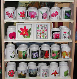 orchid display 8105b.jpg